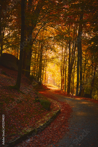 Autunno photo