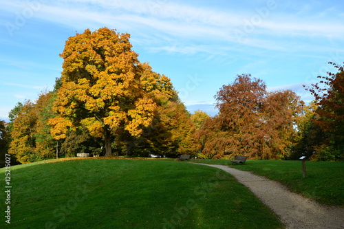 Fototapeta Naklejka Na Ścianę i Meble -  Hofgarten im Herbst Burg Trausnitz