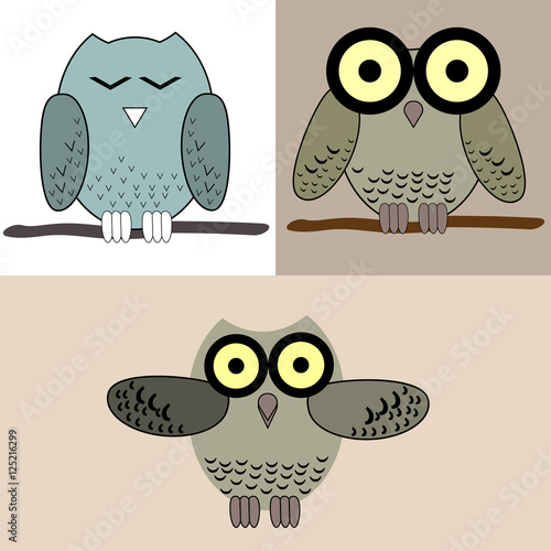 Vector set of Three different cartoon flat owls