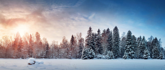 Beautiful tree in winter landscape in late evening in snowfall