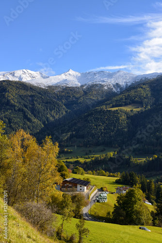Alps Mountains and Forest