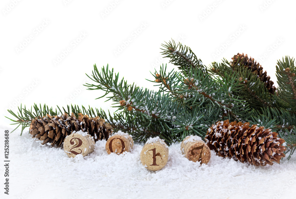 Bottle cork, pine and cones isolated on a white background