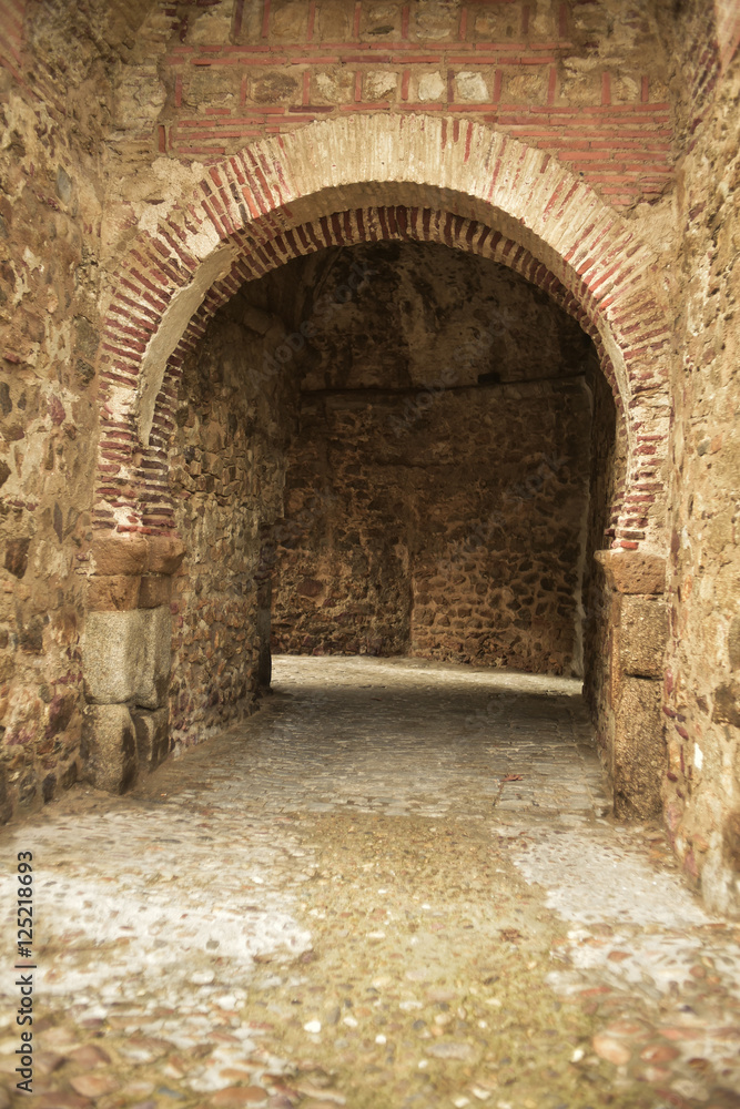 Obraz premium Entrada al Castillo de la familia Mendoza o Castillo de Buitrago de Lozoya, de estilo islámico (s. XIII y XIV) En el siglo XV se reforma para que lo habite el 1º marqués de Santillana,