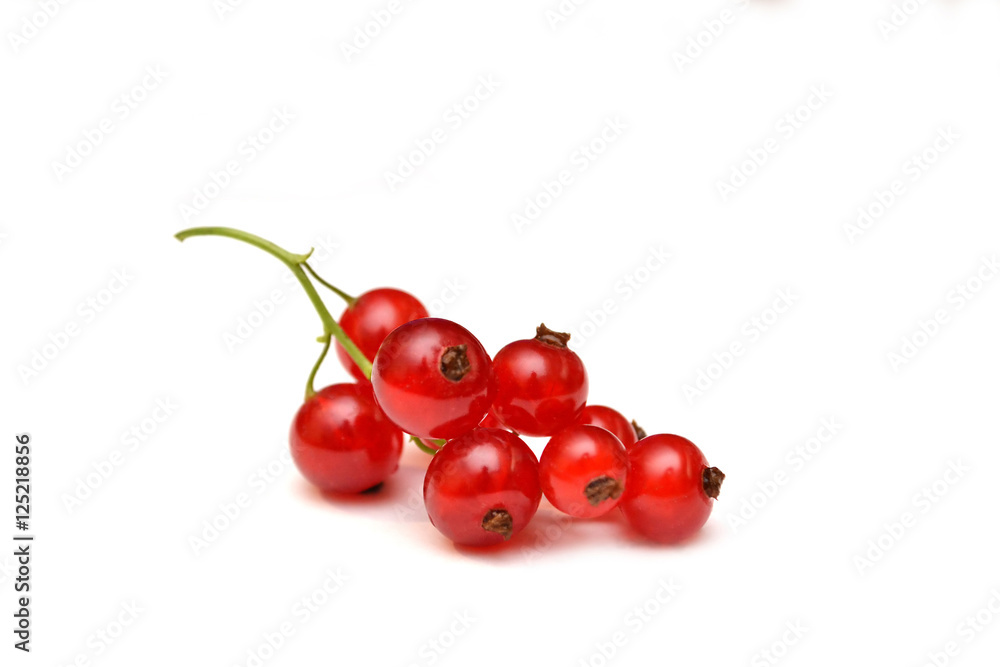 Red currant isolated on white, closeup berry