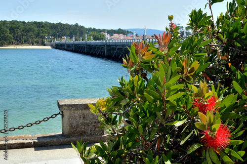 the bridge of La Toja photo