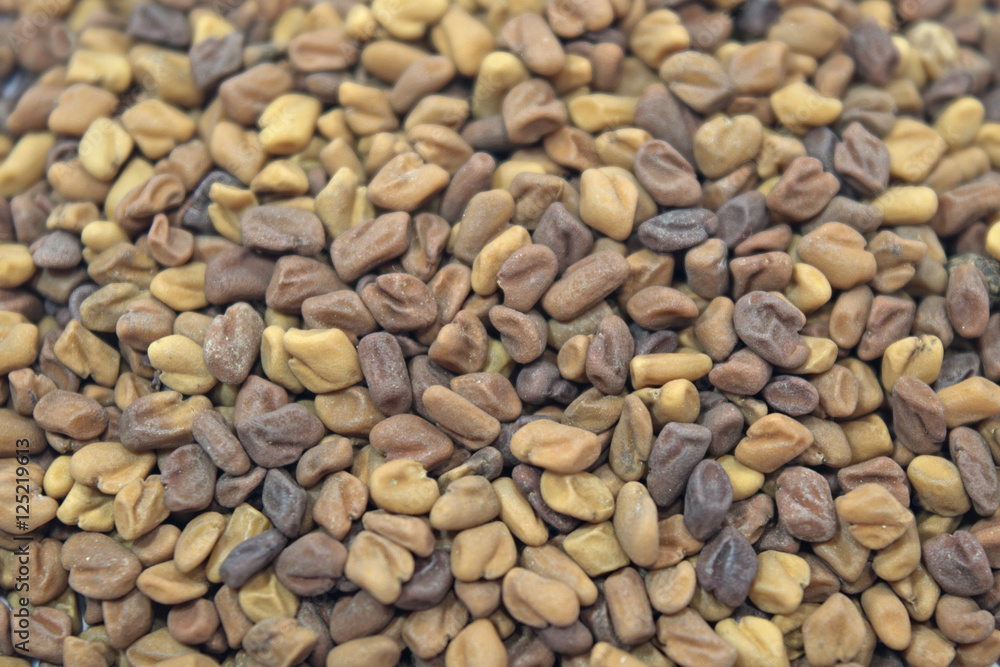 Fenugrec Fenugreek semence en tas sur fond blanc Fenugrec Fenugreek semence en tas sur fond blanc