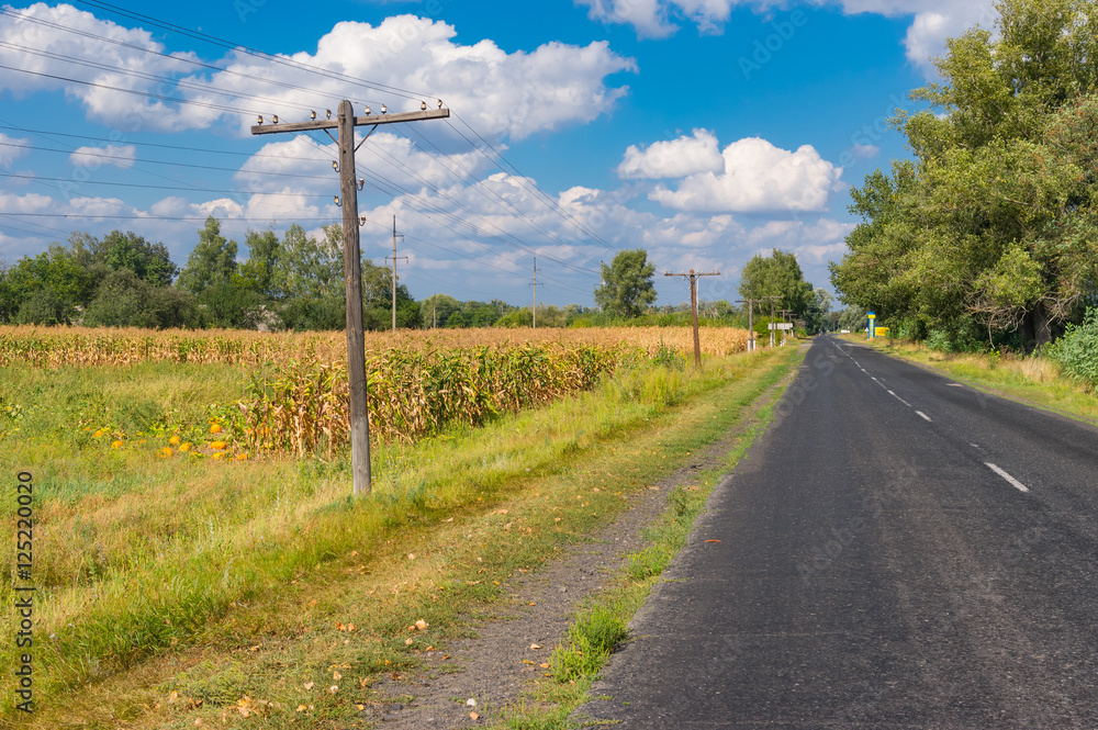 Summer landscape with asphalt road leading to small village Rublivka in Poltavskaya oblast, Ukraine. Ancient wooden poles with wires located on a roadside.