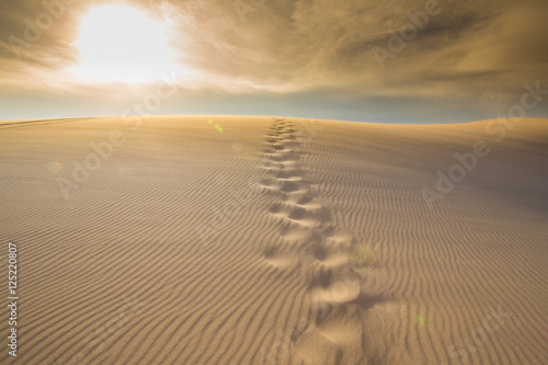 Steps of human foot mark on windy white sand dunes, Muine desert, Phan Thiet, Vietnam