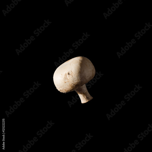 Champignons on a black background