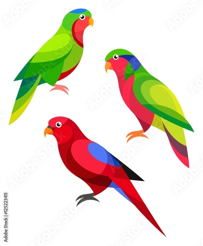 Stylized Parrot - Lorikeet