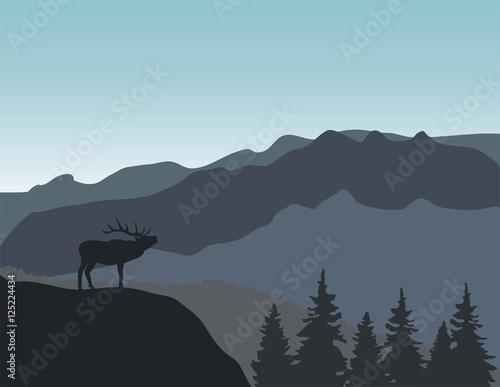 Fototapeta Naklejka Na Ścianę i Meble -  vector mountain deer