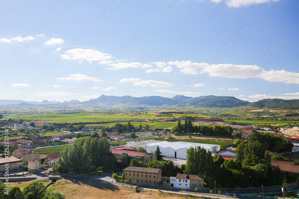 Vineyards in Haro, La Rioja, Spain
