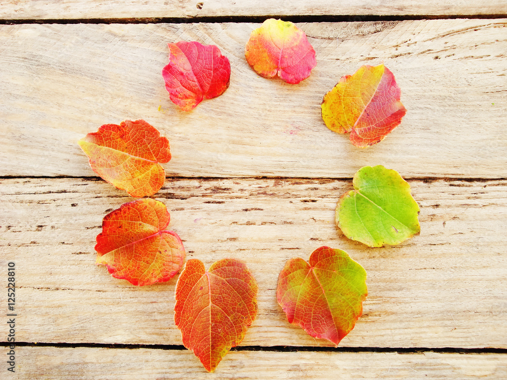 Fototapeta premium On a wooden texture arranged flowers and leaves.