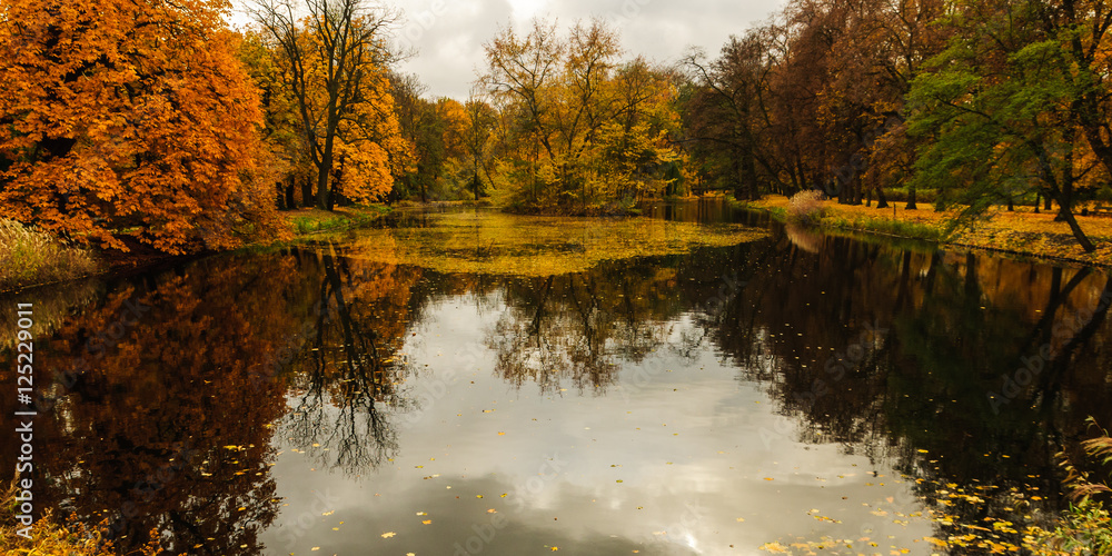 Obraz premium Autumn in Royal Lazienki in Warsaw