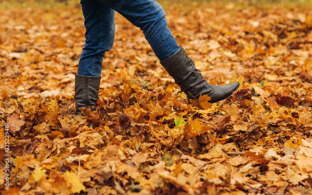 woman legs on autumn leaves in forest woman legs on autumn leaves in forest