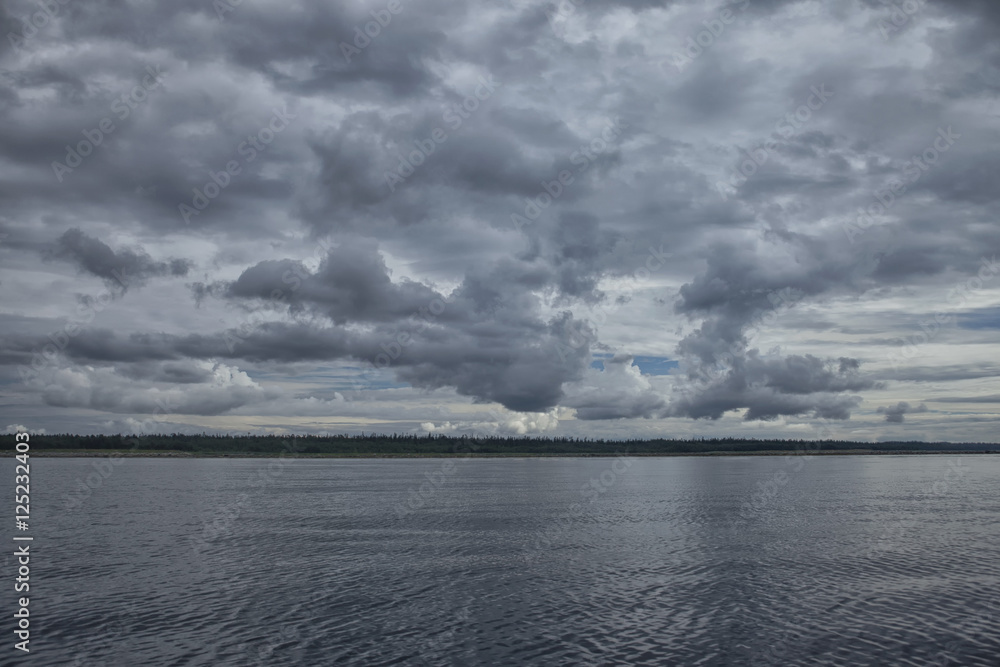 Fototapeta premium Dark silver clouds over the sea and the forest