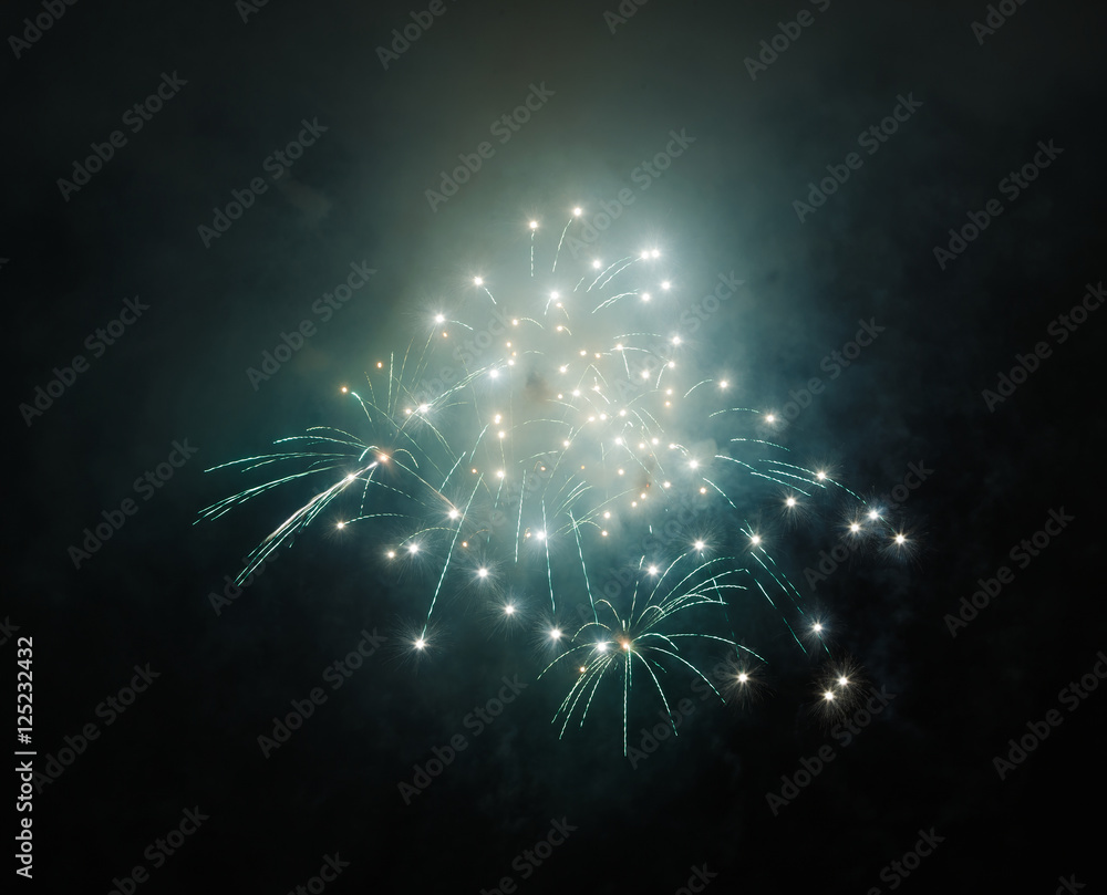 Fototapeta premium Wonderful fireworks at night