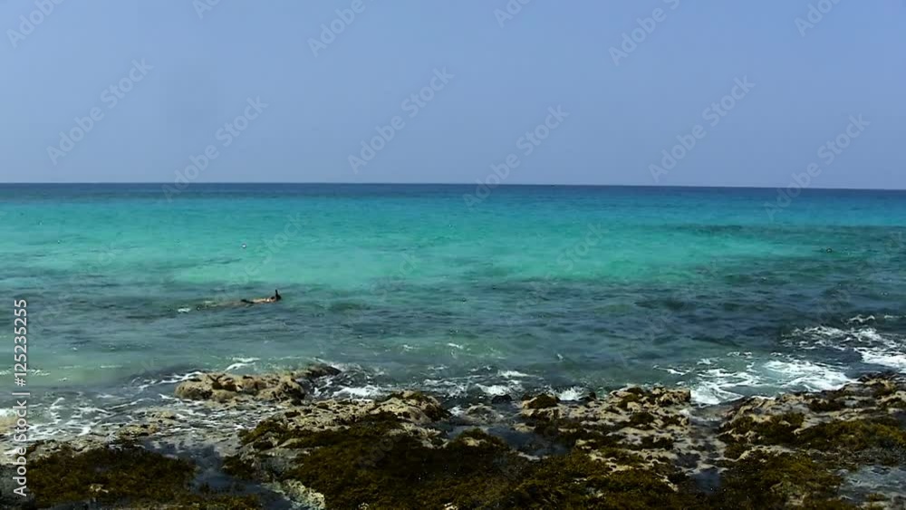 Ocean Waves Shore Blue Sky Snorkeler Kona Hawaii
Ocean Waves Shore Blue Sky Snorkeler Kona Hawaii