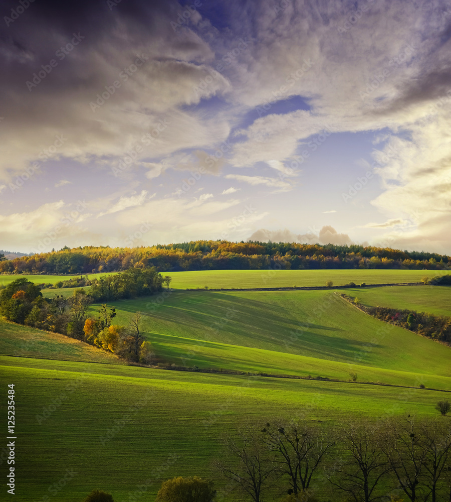 Fototapeta premium autumnal landscape - Europe, Czech Republic , Moravia, Kyjov