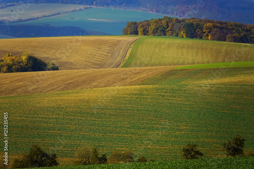 autumnal landscape - Europe  Czech Republic   Moravia  Kyjov