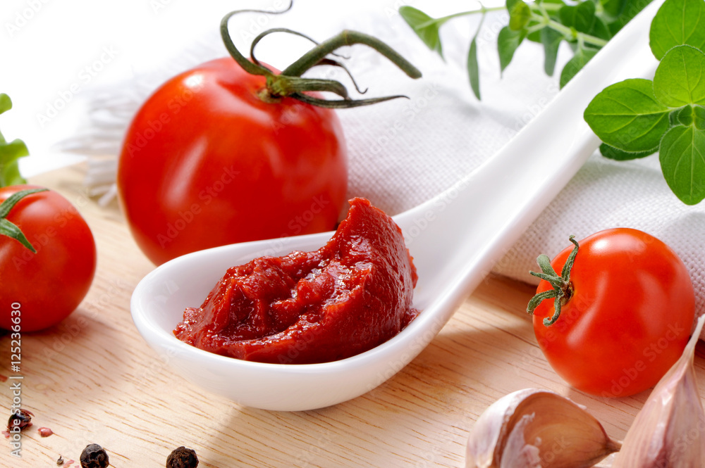 tomato paste in porcelain spoon close-up with sauce ingredients tomato paste in porcelain spoon close-up with sauce ingredients