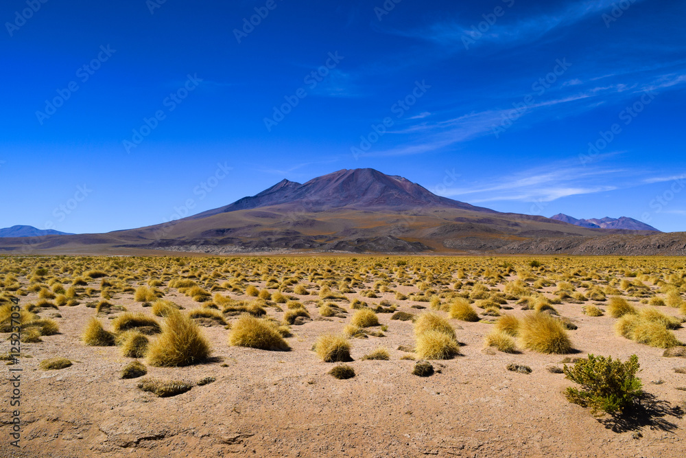 bolivia