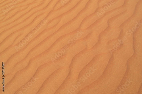 the texture of the sand