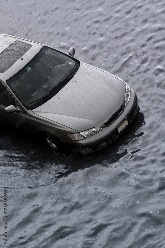 Fototapeta premium Stranded automobile