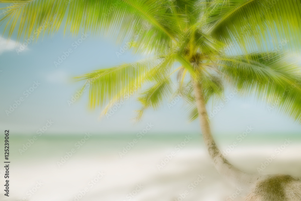Fototapeta premium Abstract blurred background for travel concept. Sunny day at amazing tropical beach with palm tree, white sand and turquoise ocean waves. Myanmar (Burma) landscapes and destinations