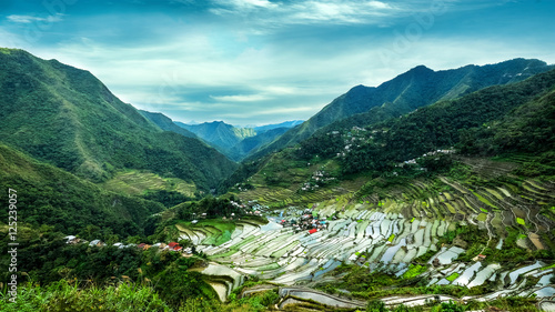 Φωτογραφία Amazing panorama view of rice terraces fields in Ifugao province mountains under cloudy blue sky