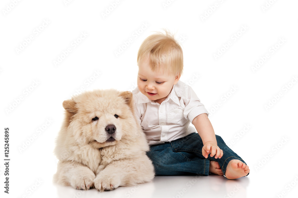 Little boy with chow-chow puppie Little boy with chow-chow puppie