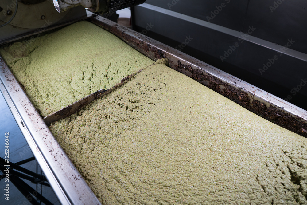 milled olives for olive oil production milled olives for olive oil production