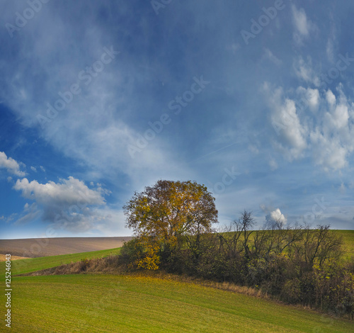 autumnal landscape - Europe, Czech Republic , Moravia, Kyjov © Vera Kuttelvaserova