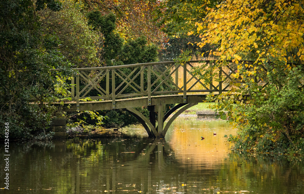 Autumn Bridge & Lake