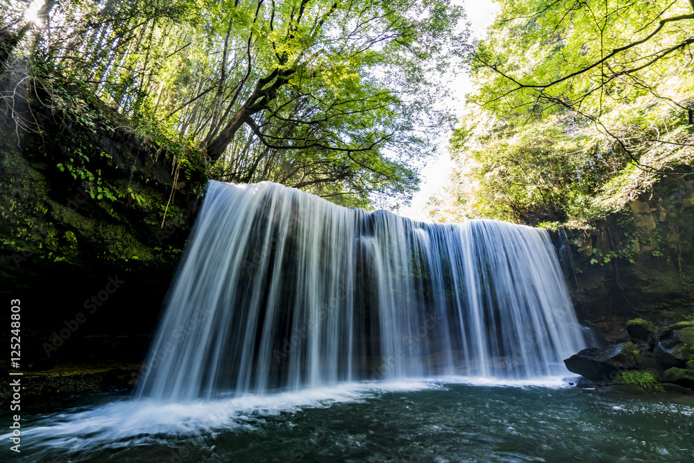 Fototapeta premium Nabega spada