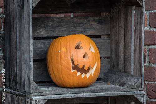 Pumpkin