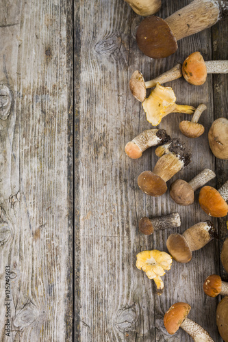  Boletus edulis.