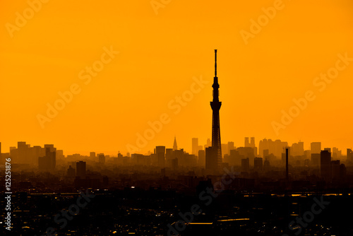 夕日に映える東京スカイツリーと東京の高層ビルのシルエット