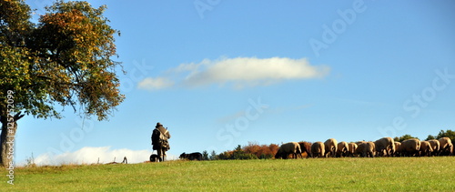 Schäfer mit seiner Herde in herbstlicher Landschaft photo