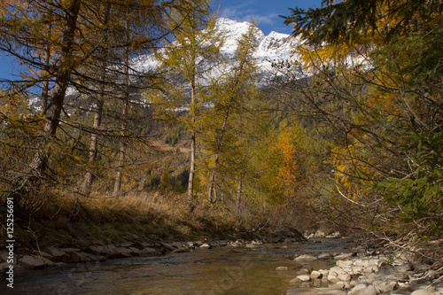 Crreek In The Mountains