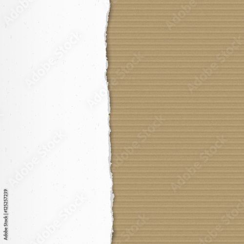 Torn cardboard pieces