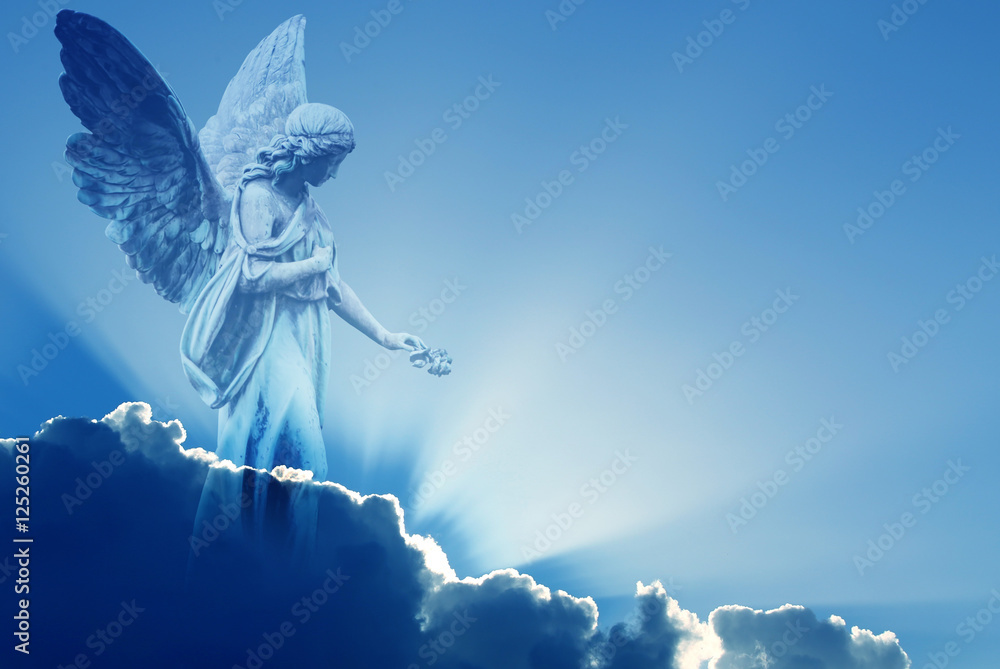 Fototapeta premium Beautiful angel in heaven