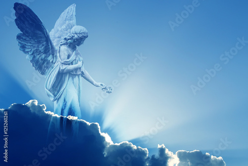 Fotografie, Obraz Beautiful angel in heaven