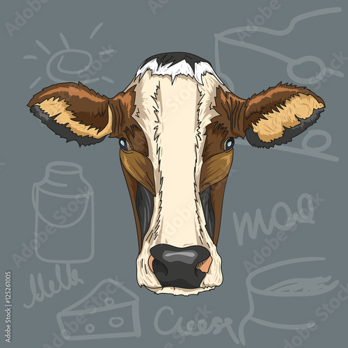 Color sketch of a cow's face. Vector portrait illustration