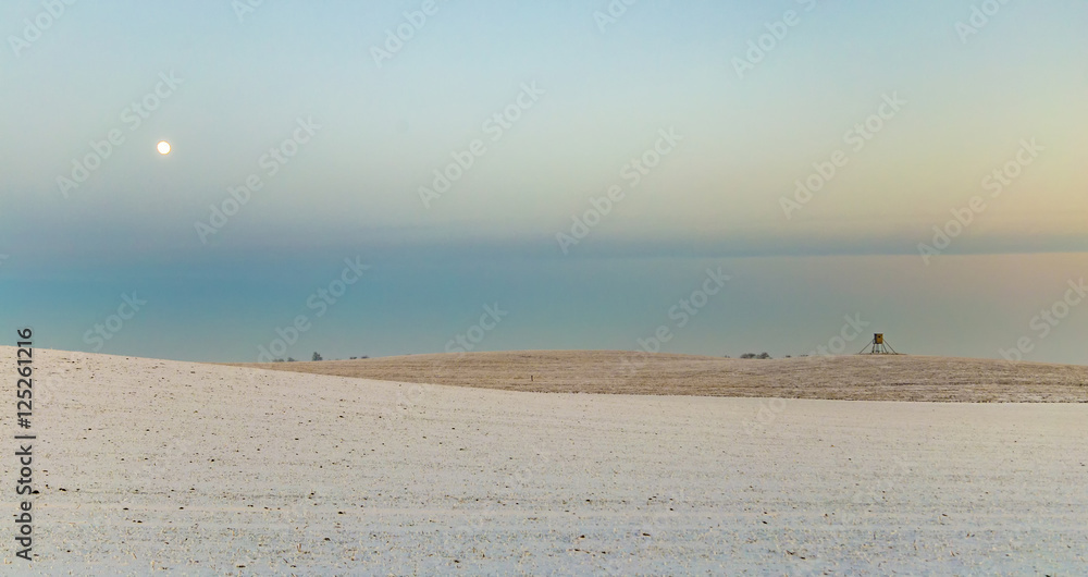 winter landscape with tree alley in sunset winter landscape with tree alley in sunset