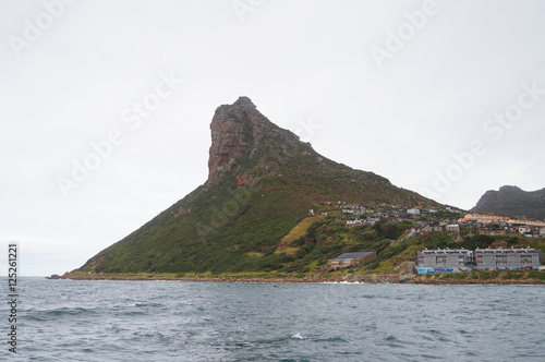 Hout Bay, Table Mountain National Park, South Africa © pulpitis17