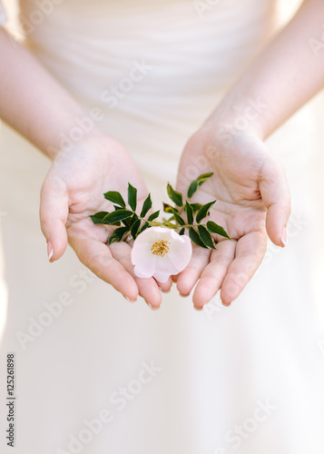 Beautiful delicate hands of a girl with white flowers in their hands.