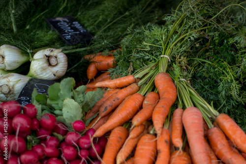 Carrots, radish and fennel for sale at the market