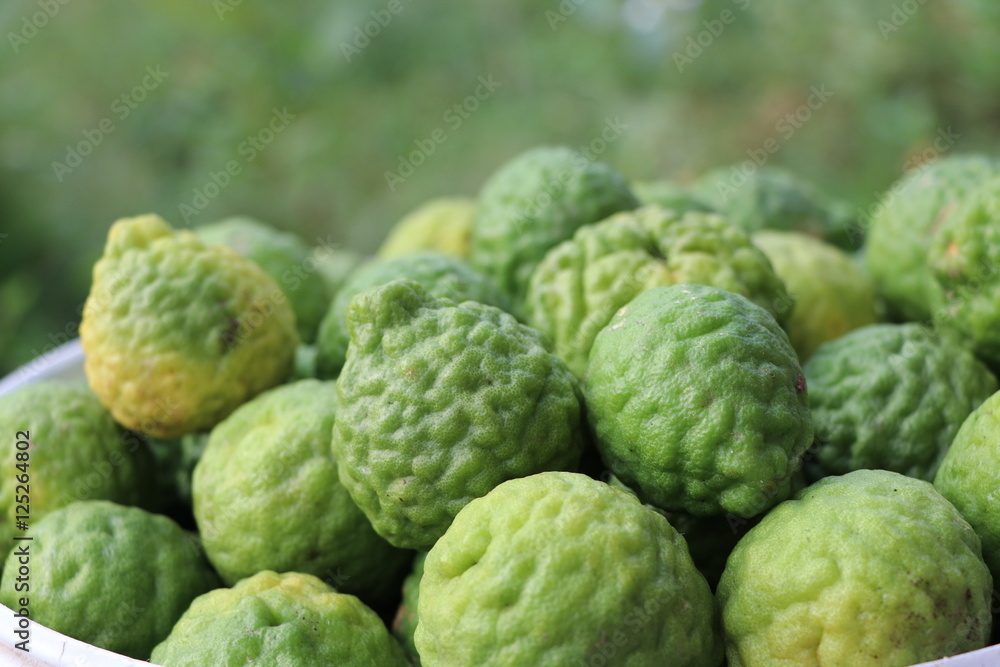 Fresh bergamot from the farm Fresh bergamot from the farm