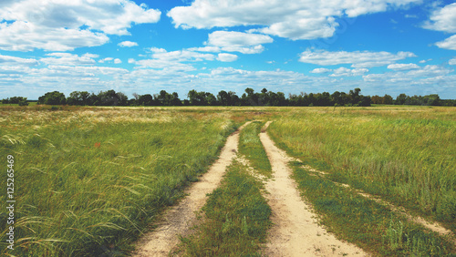 Countryside road in the meadows